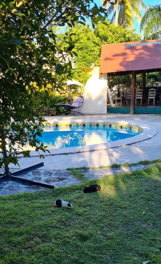 Villa Sonrisa Casa De Huespedes Las Terrenas Eksteriør bilde
