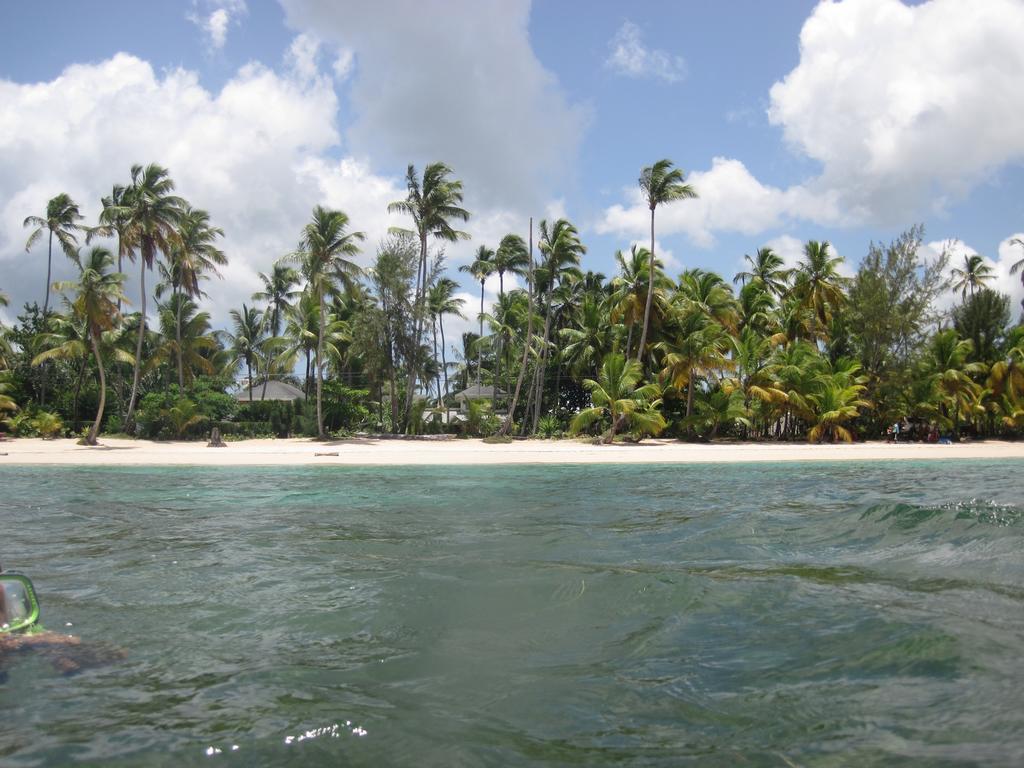 Villa Sonrisa Casa De Huespedes Las Terrenas Eksteriør bilde
